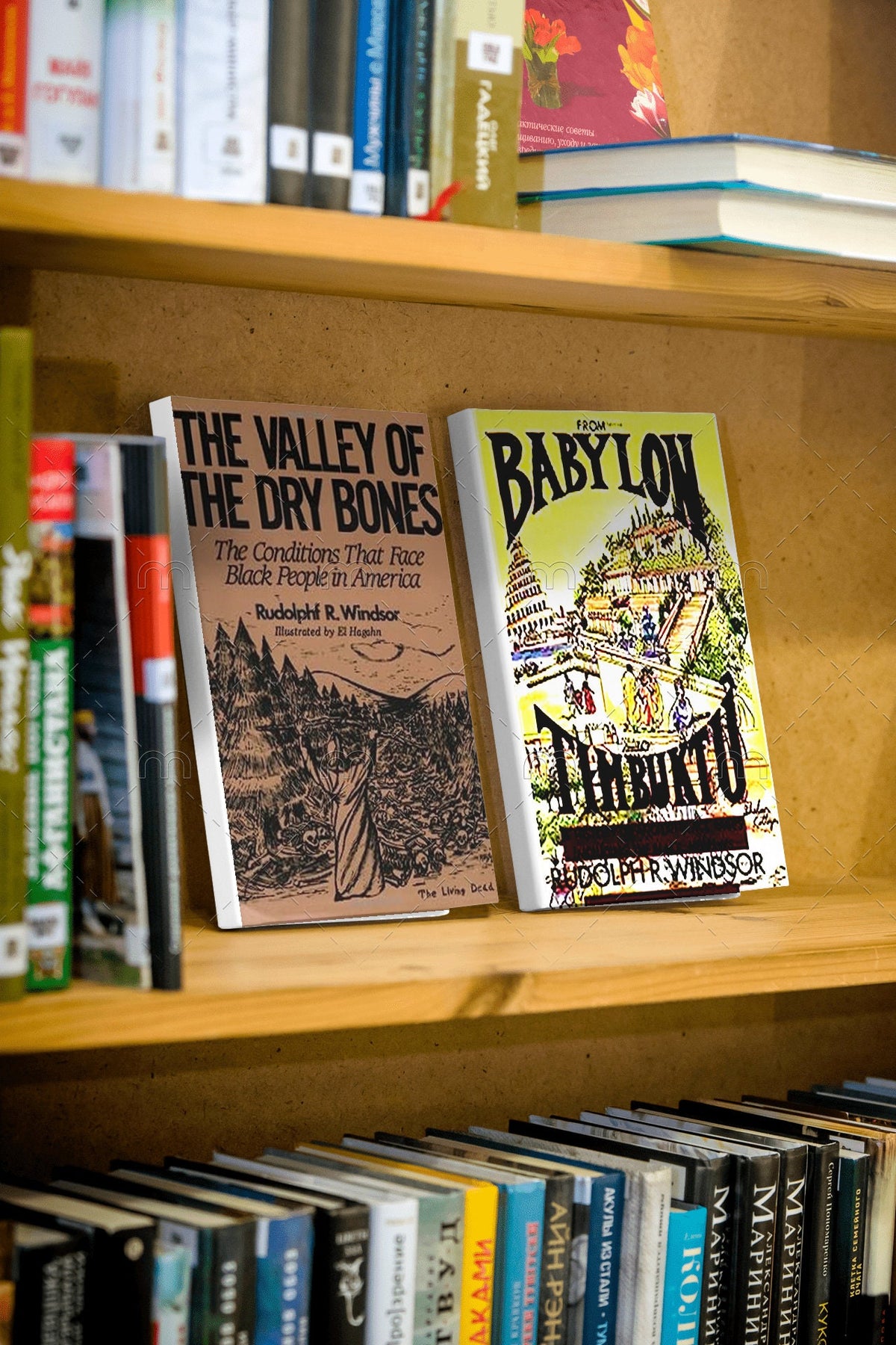 The valley of The dry bones