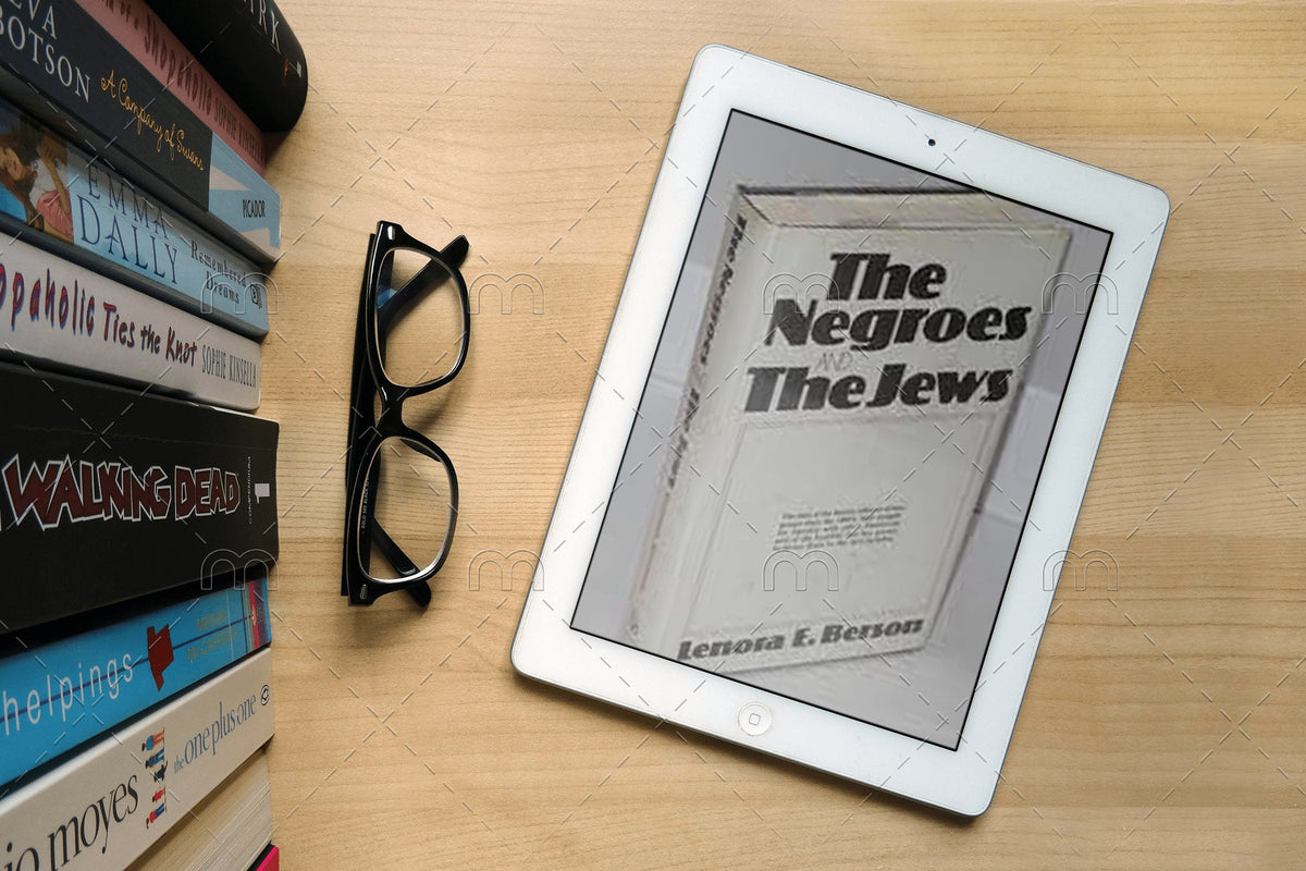 The Negros and the jews by lenora berson
