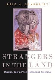 Strangers in the Land_ Blacks, Jews, Post-Holocaust America