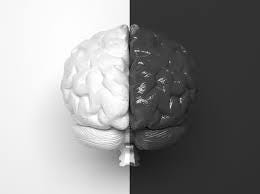 Black Brain, White Brain