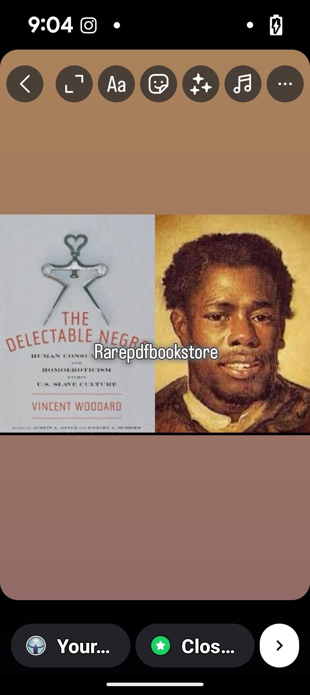 The Delectable Negro ⚡ Instant Digital Download