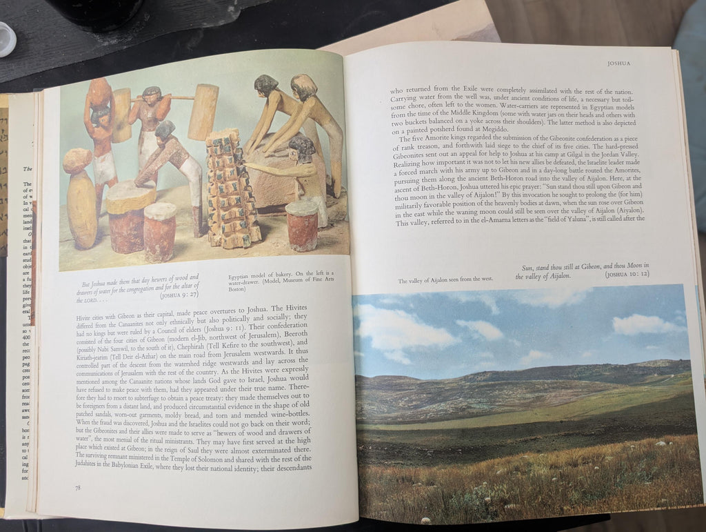Our Living Bible (1962) ⚡ Instant Digital Download