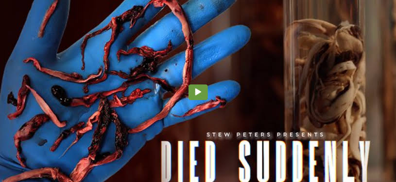 Died Suddenly Documentary ⚡ Instant Digital Download — After purchase, your PDF is available immediately in your order confirmation and via the Shop app. No waiting, no shipping.