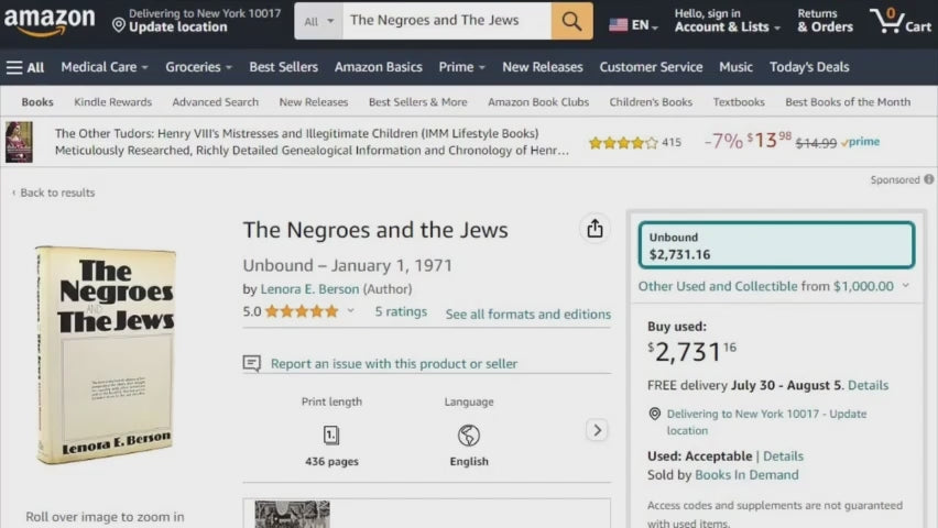 The Negros and the jews by lenora berson